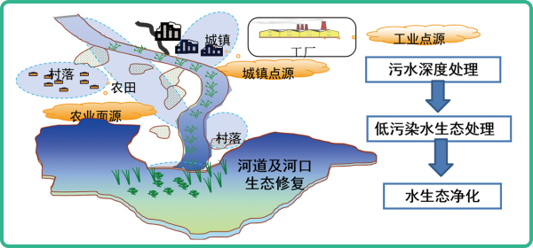 人工濕地，人工濕地建設(shè)