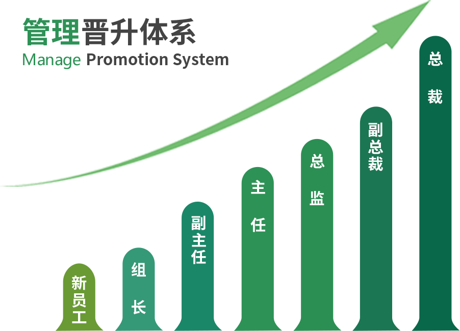 管理晉升體系