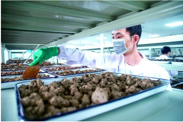 土壤檢測(cè)的類別有哪些？