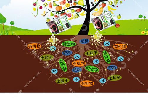 土壤污染微生物修復原則 土壤污染微生物修復原則