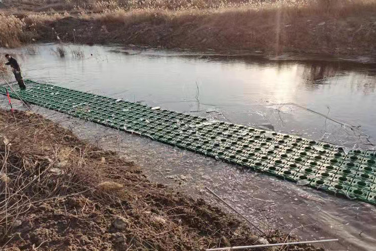 簾式傘狀仿生水草 簾式傘狀仿生水草