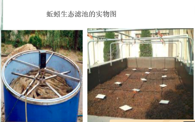 蚯蚓生態(tài)濾池實(shí)物圖 蚯蚓生態(tài)濾池實(shí)物圖