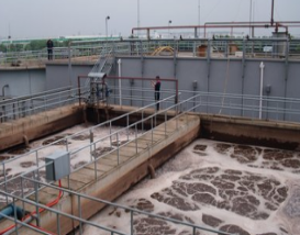 生物污水處理 生物污水處理