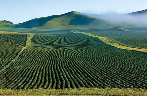 1616232169576630.png 土壤1.png