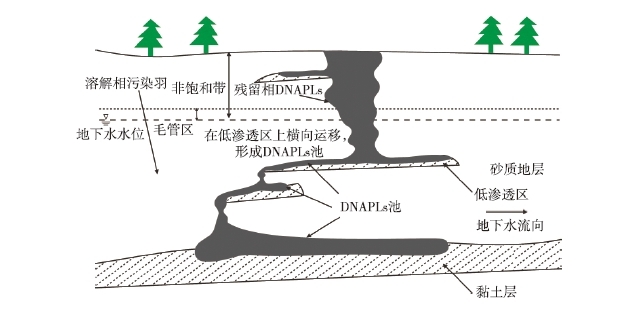 1617341959374200.jpg DN2.jpg