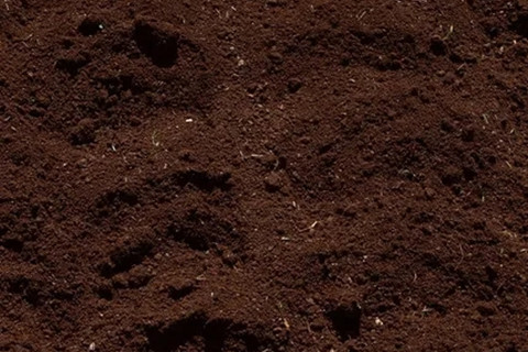 <a href=http://m.zgjkfs.cn/turangjiance.html>土壤檢測</a> 土壤檢測