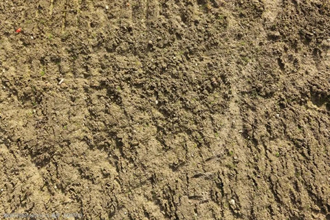 <a href=http://m.zgjkfs.cn/turangjiance.html>土壤檢測</a> 土壤檢測