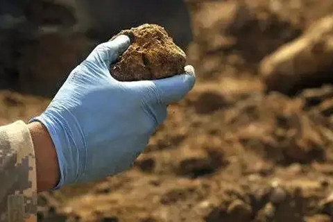 <a href=http://m.zgjkfs.cn/turangjiance.html>土壤檢測</a> 土壤檢測