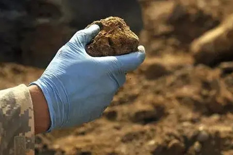 <a href=http://m.zgjkfs.cn/turangjiance.html>土壤檢測</a>.jpg 土壤檢測.jpg